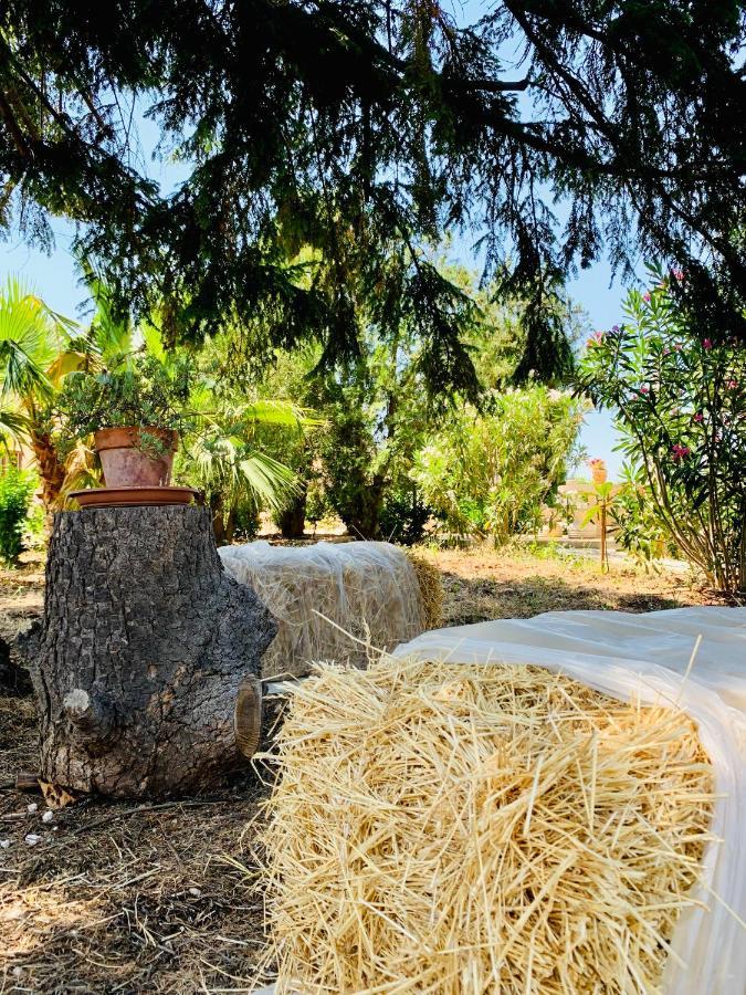 阿尔贝罗贝洛Trulli Pietra Viva别墅 外观 照片